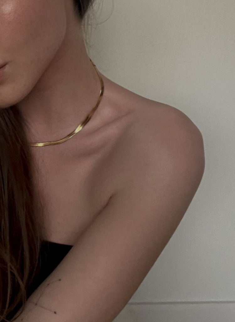 Waterdichte platte ketting ketting 4 mm